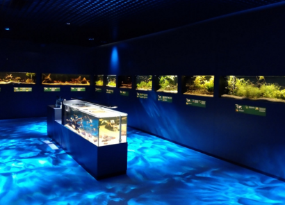 Muzeum Przyrody - Dwór Lutosławskich w Drozdowie